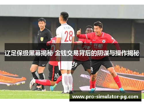 辽足保级黑幕揭秘 金钱交易背后的阴谋与操作揭秘