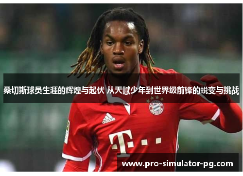 桑切斯球员生涯的辉煌与起伏 从天赋少年到世界级前锋的蜕变与挑战 桑切斯球员生涯的辉煌与起伏 从天赋少年到世界级前锋的蜕变与挑战