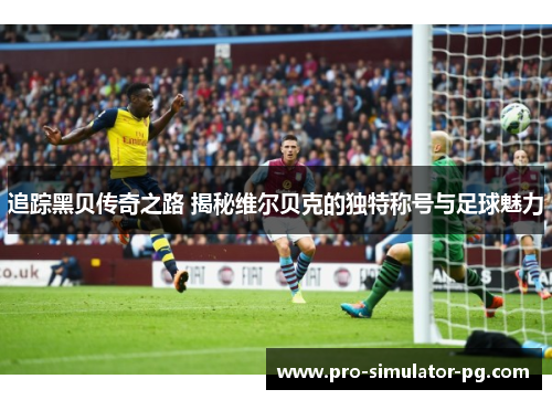 追踪黑贝传奇之路 揭秘维尔贝克的独特称号与足球魅力