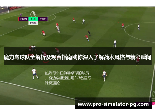 魔力鸟球队全解析及观赛指南助你深入了解战术风格与精彩瞬间 魔力鸟球队全解析及观赛指南助你深入了解战术风格与精彩瞬间