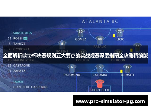 全面解析欧协杯决赛规则五大要点的实战观赛深度指南全攻略精编版