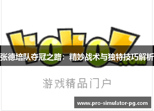 张德培队夺冠之路：精妙战术与独特技巧解析